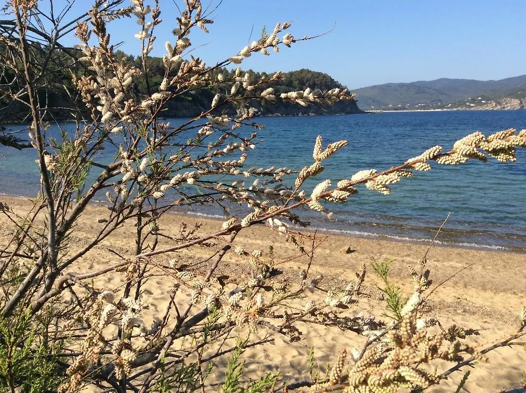 Agriturismo Galenzana Marina di Campo