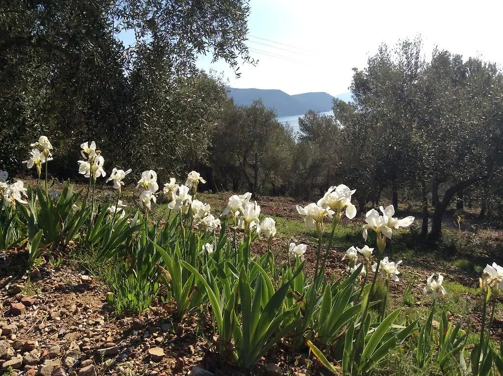 Appartamento Agriturismo Galenzana Marina di Campo