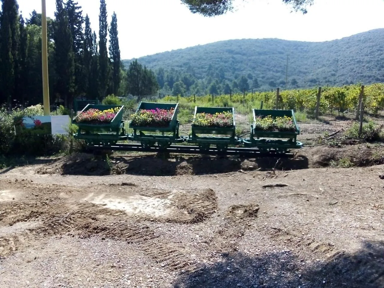 Appartamento Agriturismo Galenzana Marina di Campo